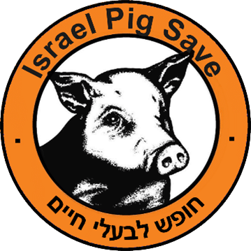 ISRAEL PIG SAVE